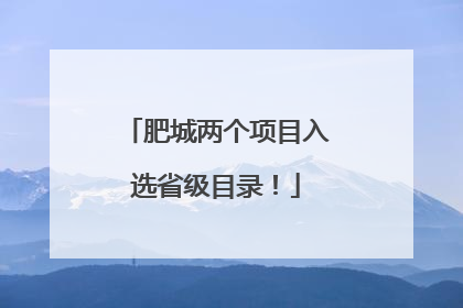肥城两个项目入选省级目录！