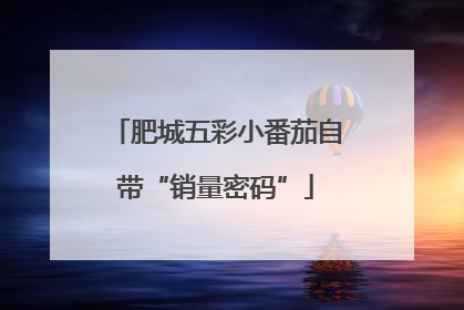 肥城五彩小番茄自带“销量密码”