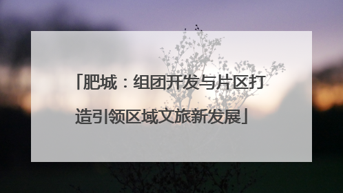 肥城：组团开发与片区打造引领区域文旅新发展