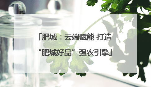 肥城：云端赋能 打造“肥城好品”强农引擎