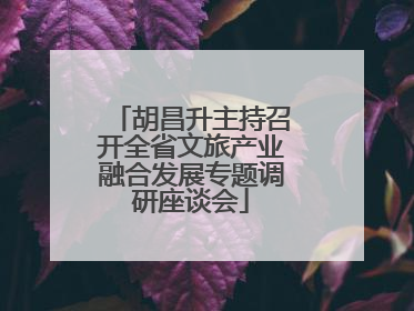 胡昌升主持召开全省文旅产业融合发展专题调研座谈会