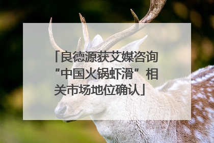 良德源获艾媒咨询“中国火锅虾滑”相关市场地位确认