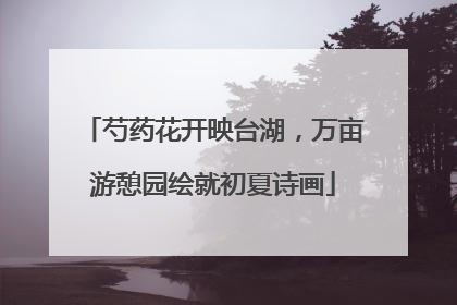芍药花开映台湖，万亩游憩园绘就初夏诗画