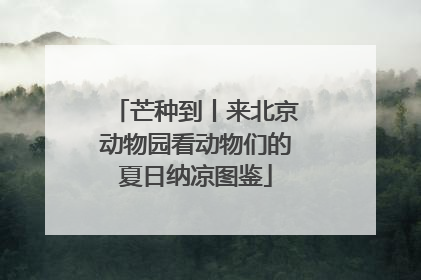 芒种到丨来北京动物园看动物们的夏日纳凉图鉴