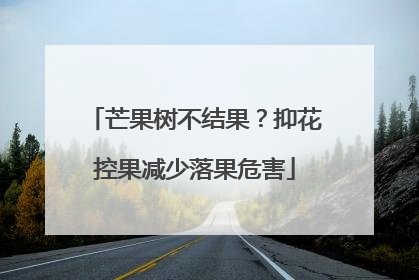 芒果树不结果？抑花控果减少落果危害