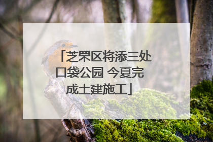 芝罘区将添三处口袋公园 今夏完成土建施工