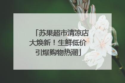 苏果超市清凉店大焕新！生鲜低价引爆购物热潮
