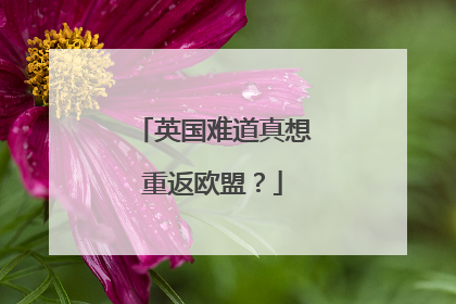英国难道真想重返欧盟？