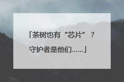 茶树也有“芯片”？守护者是他们……