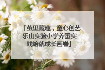 茧里藏趣，童心创艺 乐山实验小学养蚕实践绘就成长画卷