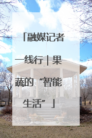 融媒记者一线行｜果蔬的“智能生活”