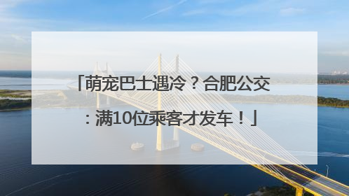 萌宠巴士遇冷？合肥公交：满10位乘客才发车！