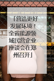 营造更好发展环境！全省能源领域民营企业座谈会在郑州召开