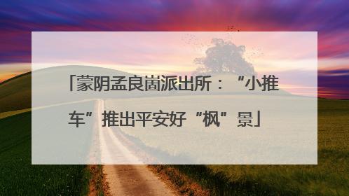 蒙阴孟良崮派出所：“小推车”推出平安好“枫”景
