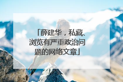 薛建华，私藏、浏览有严重政治问题的网络文章
