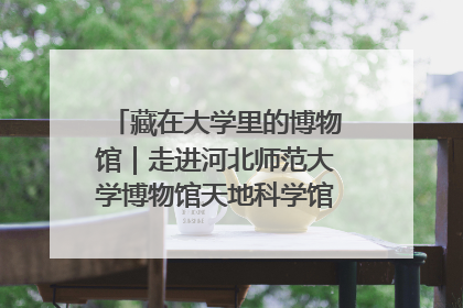 藏在大学里的博物馆｜走进河北师范大学博物馆天地科学馆：在校园里赴一场“宇宙之约”