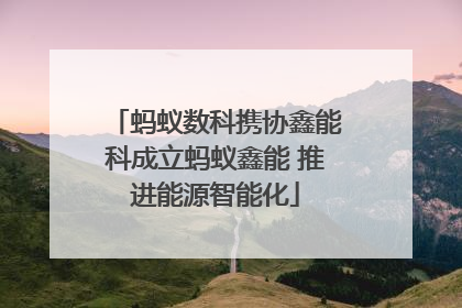 蚂蚁数科携协鑫能科成立蚂蚁鑫能 推进能源智能化