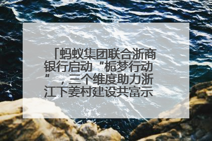 蚂蚁集团联合浙商银行启动“栀梦行动”，三个维度助力浙江下姜村建设共富示范区示范点