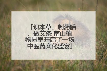 识本草、制药膳、做艾条 南山植物园里开启了一场中医药文化盛宴