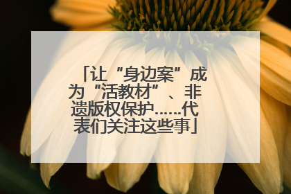 让“身边案”成为“活教材”、非遗版权保护……代表们关注这些事
