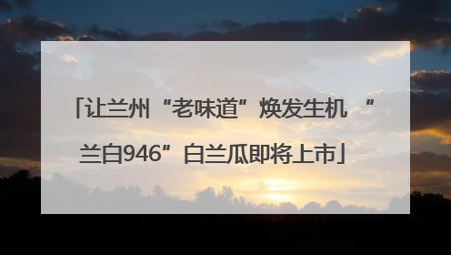 让兰州“老味道”焕发生机 “兰白946”白兰瓜即将上市