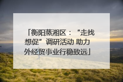 衡阳蒸湘区：“走找想促”调研活动 助力外经贸事业行稳致远