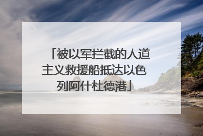 被以军拦截的人道主义救援船抵达以色列阿什杜德港