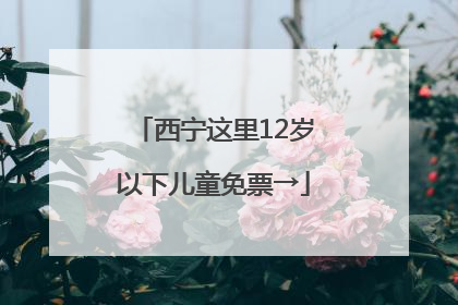 西宁这里12岁以下儿童免票→