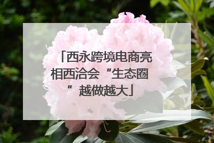 西永跨境电商亮相西洽会“生态圈”越做越大