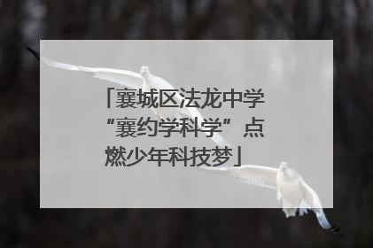襄城区法龙中学“襄约学科学”点燃少年科技梦