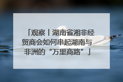 观察丨湖南省湘非经贸商会如何串起湖南与非洲的“万里商路”