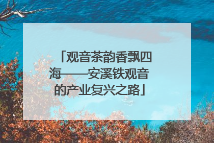 观音茶韵香飘四海——安溪铁观音的产业复兴之路