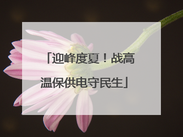 迎峰度夏！战高温保供电守民生