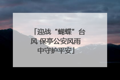 迎战“蝴蝶”台风 保亭公安风雨中守护平安