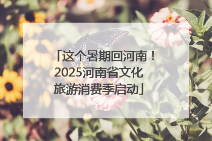 这个暑期回河南！2025河南省文化旅游消费季启动