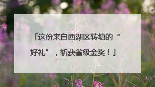 这份来自西湖区转塘的“好礼”，斩获省级金奖！