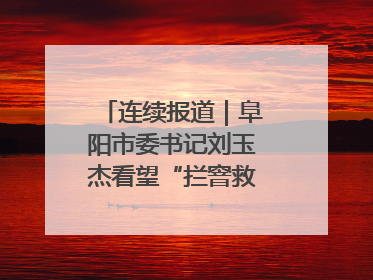 连续报道｜阜阳市委书记刘玉杰看望“拦窨救人”英勇团队