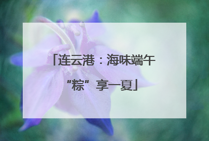 连云港：海味端午 “粽”享一夏