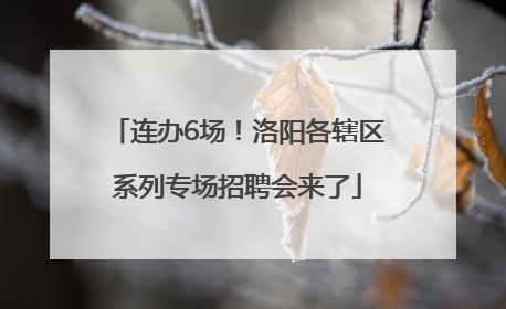 连办6场！洛阳各辖区系列专场招聘会来了