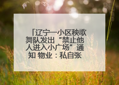 辽宁一小区秧歌舞队发出“禁止他人进入小广场”通知 物业：私自张贴，已撤掉