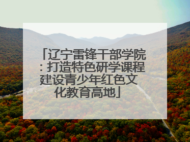 辽宁雷锋干部学院：打造特色研学课程 建设青少年红色文化教育高地