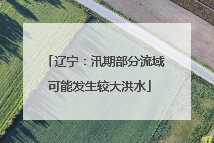 辽宁：汛期部分流域可能发生较大洪水