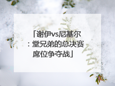 谢伊vs尼基尔：堂兄弟的总决赛席位争夺战