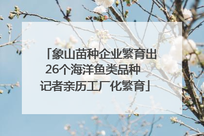 象山苗种企业繁育出26个海洋鱼类品种 记者亲历工厂化繁育