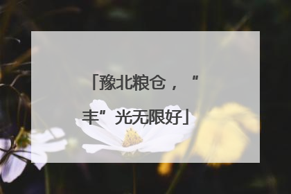豫北粮仓，“丰”光无限好