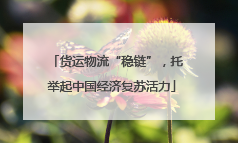 货运物流“稳链”，托举起中国经济复苏活力