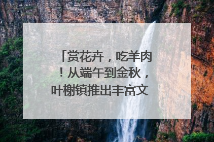 赏花卉，吃羊肉！从端午到金秋，叶榭镇推出丰富文旅活动邀您爽玩