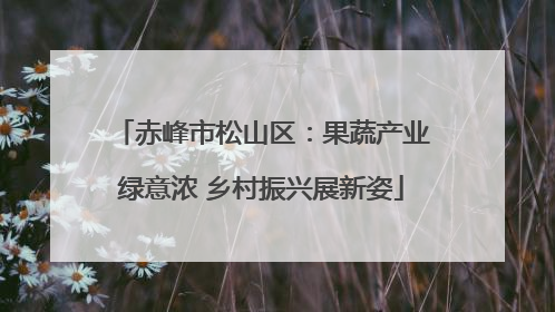 赤峰市松山区：果蔬产业绿意浓 乡村振兴展新姿