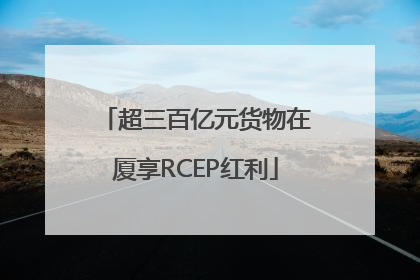 超三百亿元货物在厦享RCEP红利