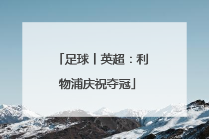 足球丨英超：利物浦庆祝夺冠